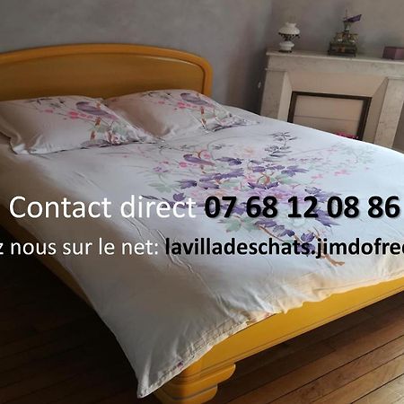 Andrésy La Villa Des Chats المظهر الخارجي الصورة
