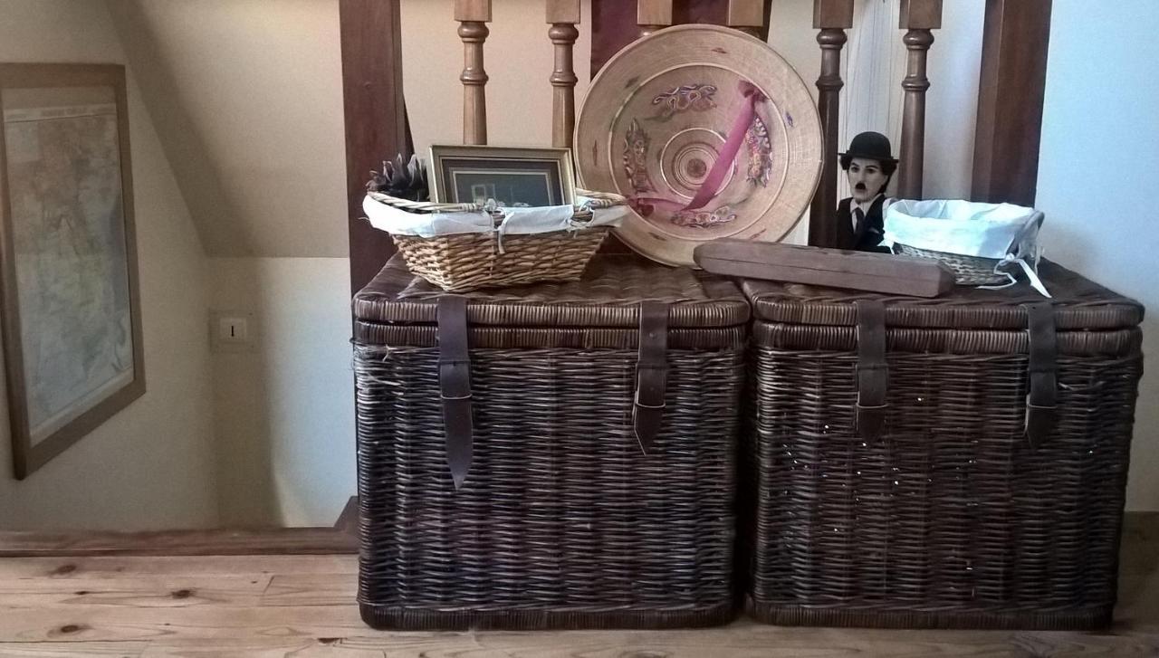 Andrésy La Villa Des Chats المظهر الخارجي الصورة